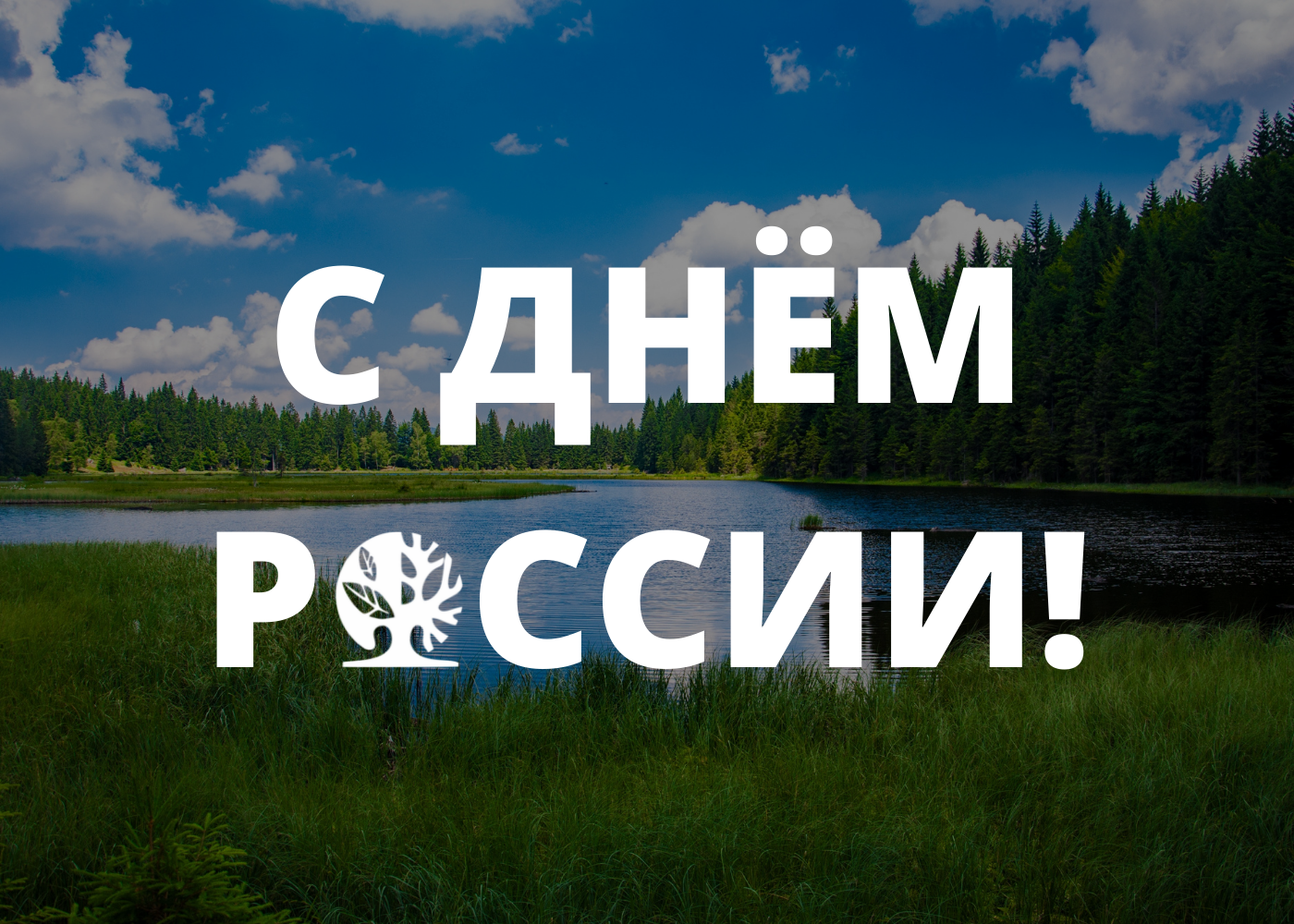 С Днём России! С Днём России!