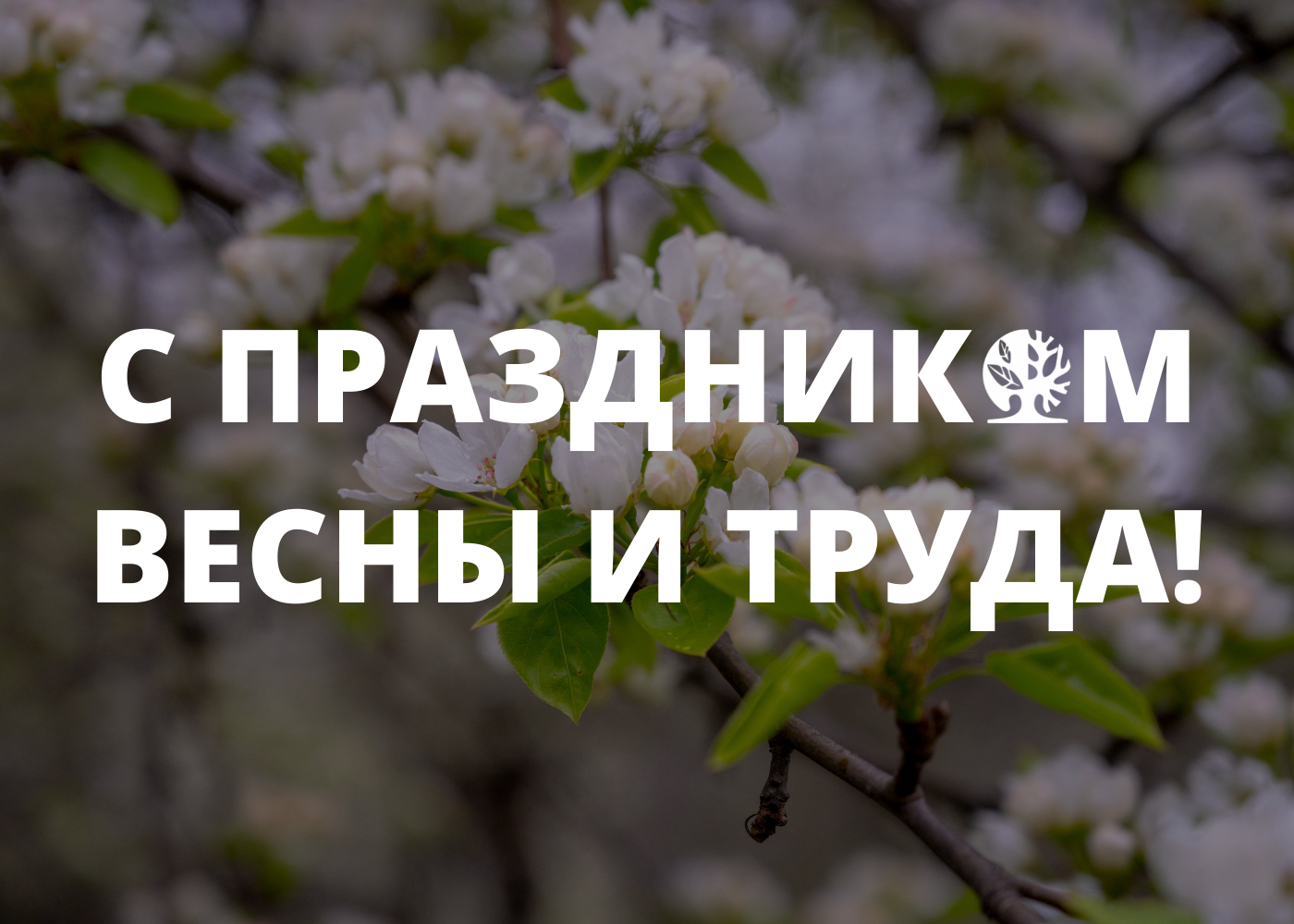 С 1 Мая! С 1 Мая!