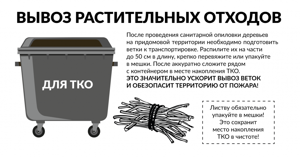 ВЕТКИ1.png ВЕТКИ1.png