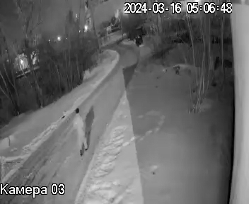 Поджог - Шумиха 2024_03_16-0-00-03-895.jpg
